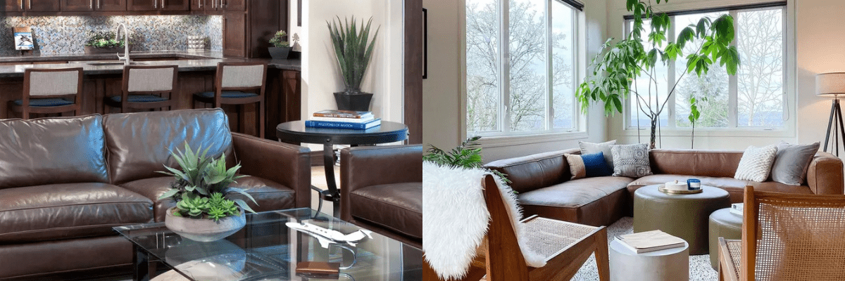 Dark Brown Leather Couch Living Room Ideas